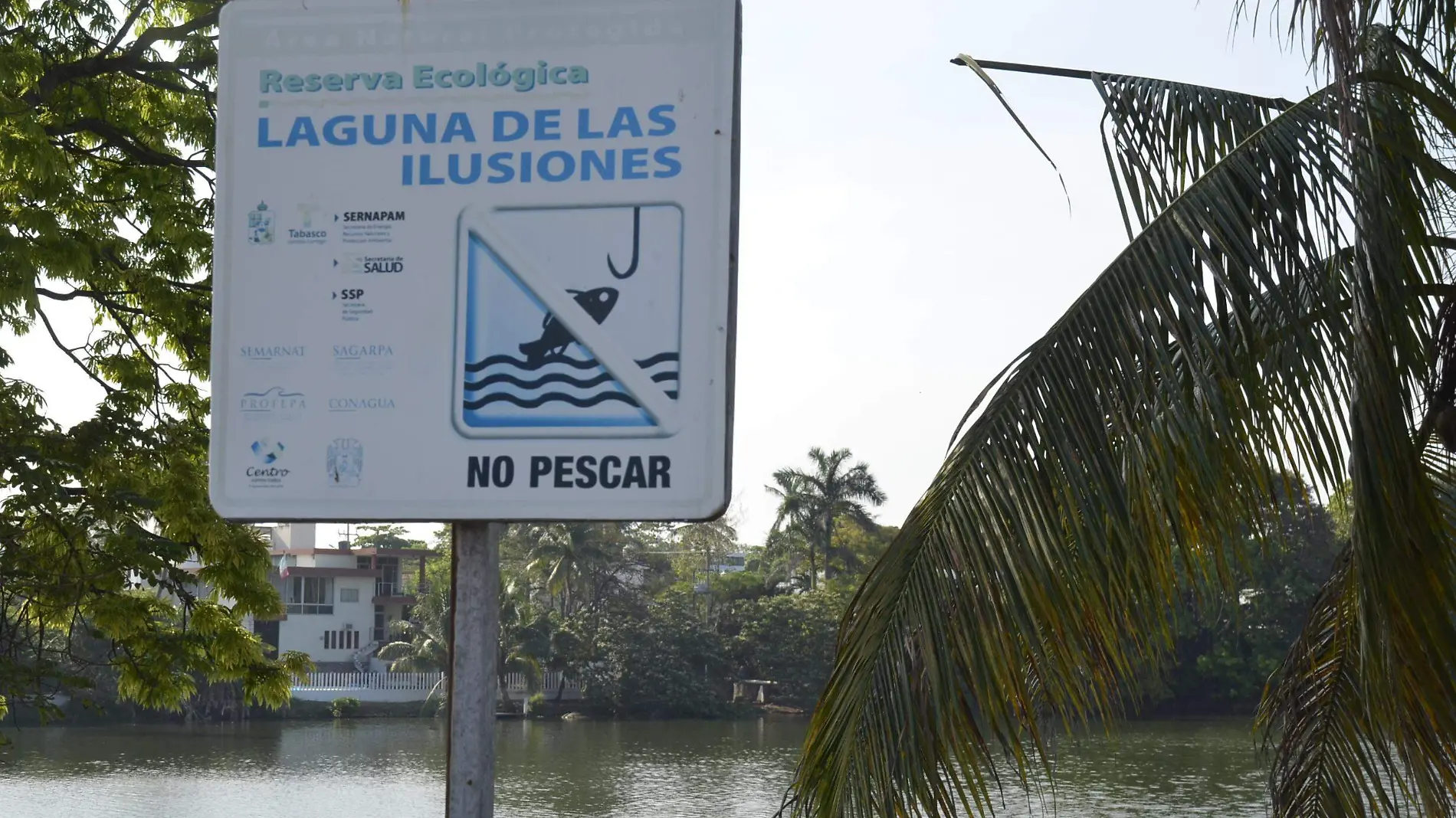 Laguna Iluciones (4)